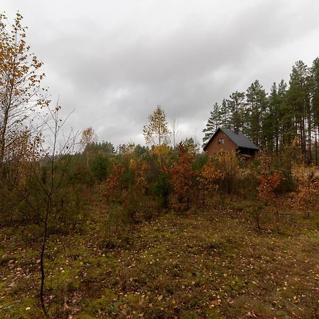 Вилла Lesny Kacik Zelwa Экстерьер фото